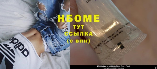 PSILOCYBIN Алзамай