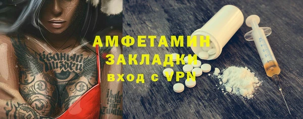 PSILOCYBIN Алзамай