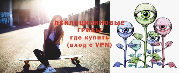 PSILOCYBIN Алзамай
